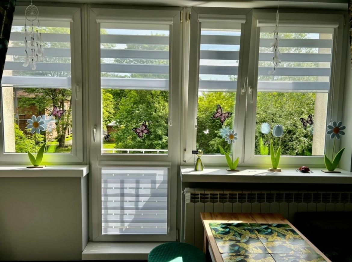 Nowy Dwór Mazowiecki Studio Modlin מראה חיצוני תמונה